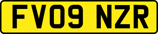 FV09NZR