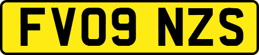 FV09NZS