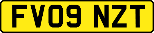 FV09NZT