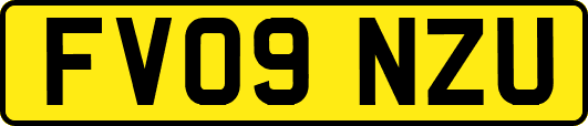 FV09NZU