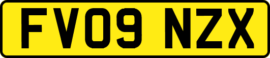 FV09NZX