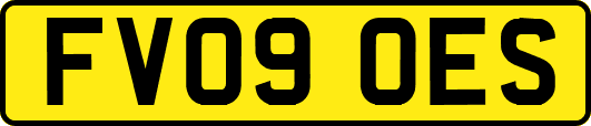 FV09OES