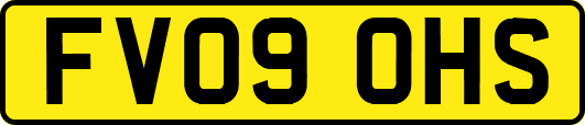 FV09OHS