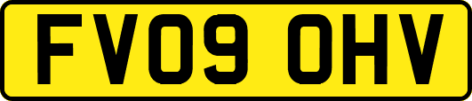 FV09OHV