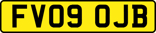 FV09OJB