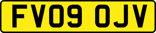 FV09OJV
