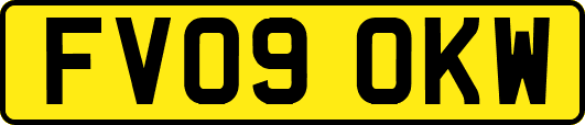 FV09OKW