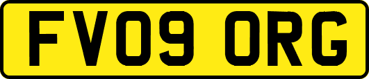 FV09ORG