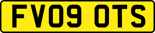 FV09OTS