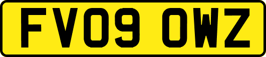 FV09OWZ