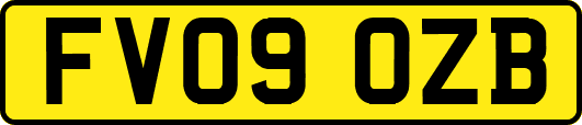 FV09OZB