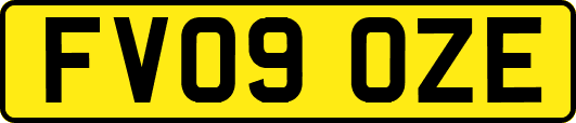 FV09OZE