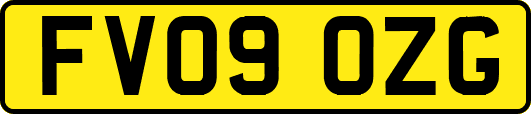 FV09OZG