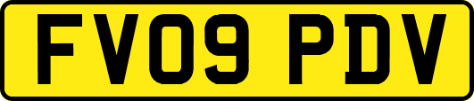 FV09PDV
