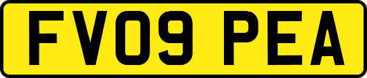 FV09PEA