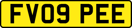 FV09PEE