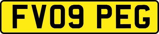 FV09PEG