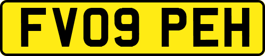 FV09PEH