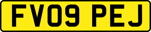 FV09PEJ