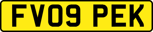 FV09PEK