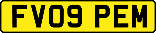 FV09PEM