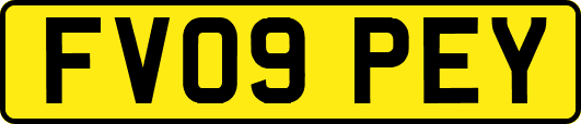 FV09PEY