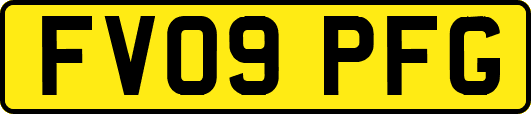 FV09PFG