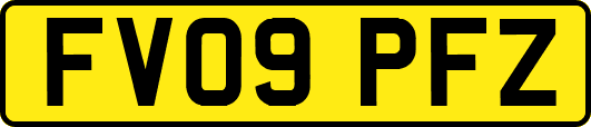FV09PFZ