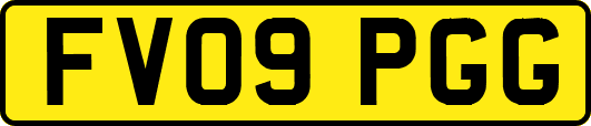 FV09PGG