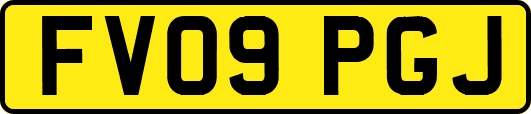 FV09PGJ