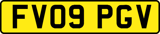 FV09PGV