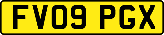FV09PGX