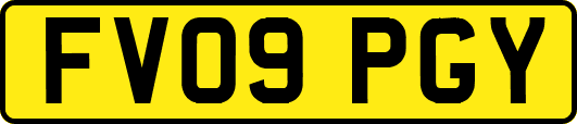 FV09PGY