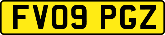 FV09PGZ