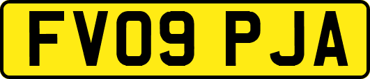FV09PJA