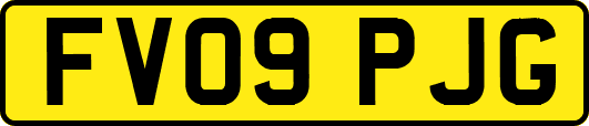 FV09PJG