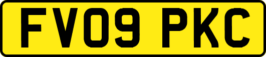 FV09PKC
