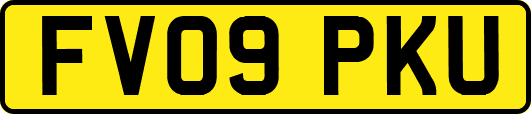 FV09PKU