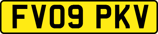FV09PKV