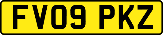 FV09PKZ
