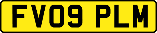 FV09PLM