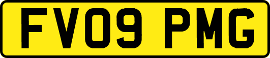 FV09PMG