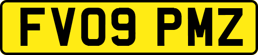 FV09PMZ