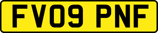 FV09PNF