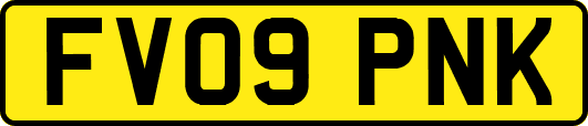 FV09PNK