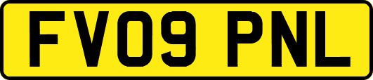 FV09PNL