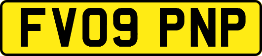 FV09PNP