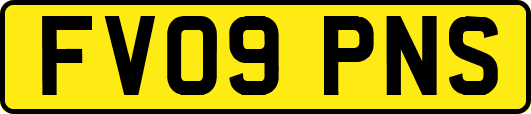 FV09PNS