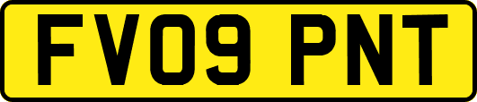 FV09PNT