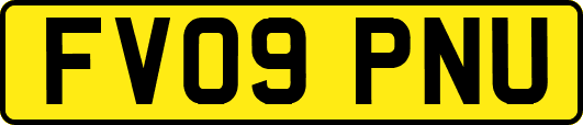 FV09PNU